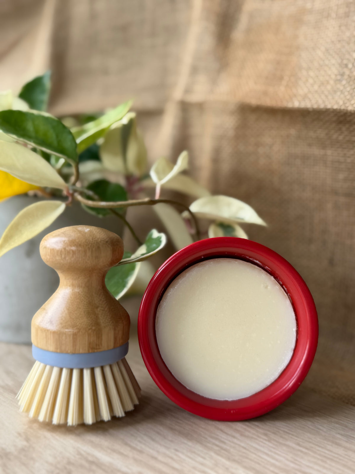 A small wooden-handled cleaning brush with cream bristles and a red-rimmed container holding a pale cream product, styled on a tabletop with a plant and burlap backdrop.