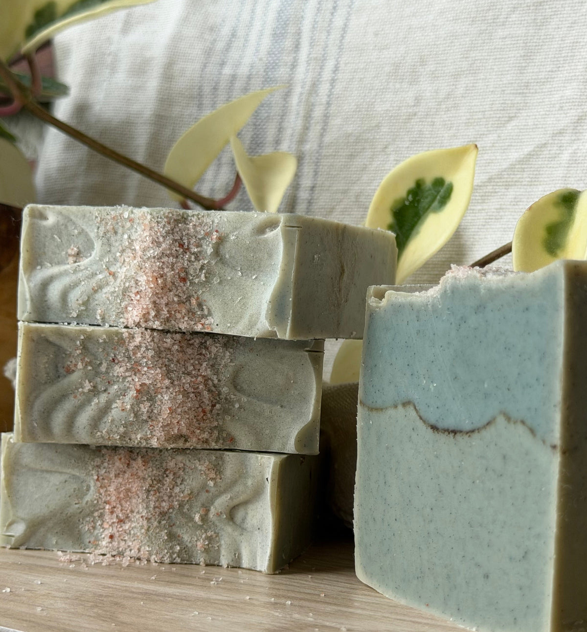 Sea Salt & Kelp Soap