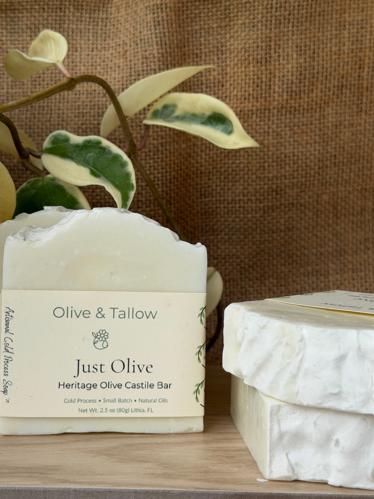 A bar of soap labeled 'Olive & Tallow Just Olive Heritage Olive Castile Bar' sits on a wooden surface next to stacked soap bars, with variegated houseplant leaves and a burlap backdrop.