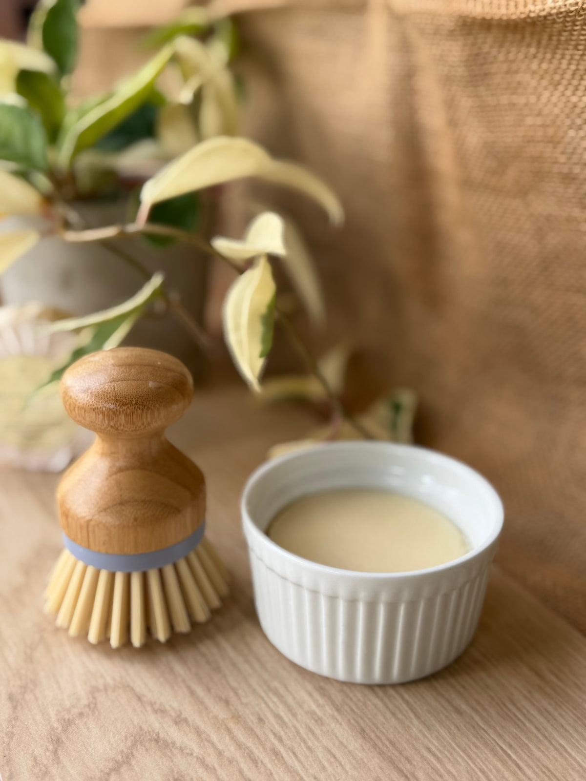 A small wooden-handled cleaning brush with a light blue band and beige bristles stands beside a white ribbed ramekin filled with a pale cream liquid, set on a wooden surface with a burlap backdrop and blurred green leaves in the background.