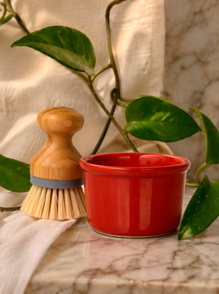 Solid dish soap bar with a wooden scrub brush, plastic-free kitchen